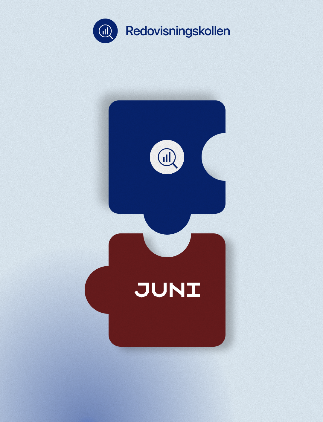 Redovisningskollen x Juni